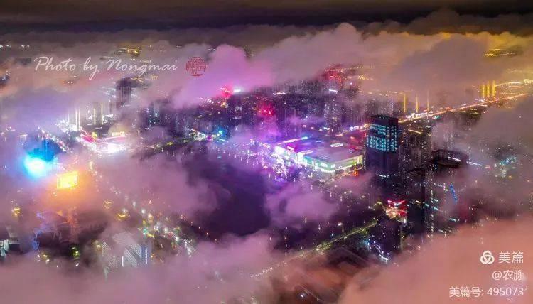 逗小猴开心系列206