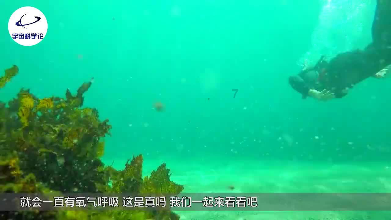 海贼王伟大冒险