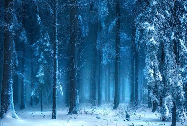 最低8℃!海南网友:南 你冷得让我陌生